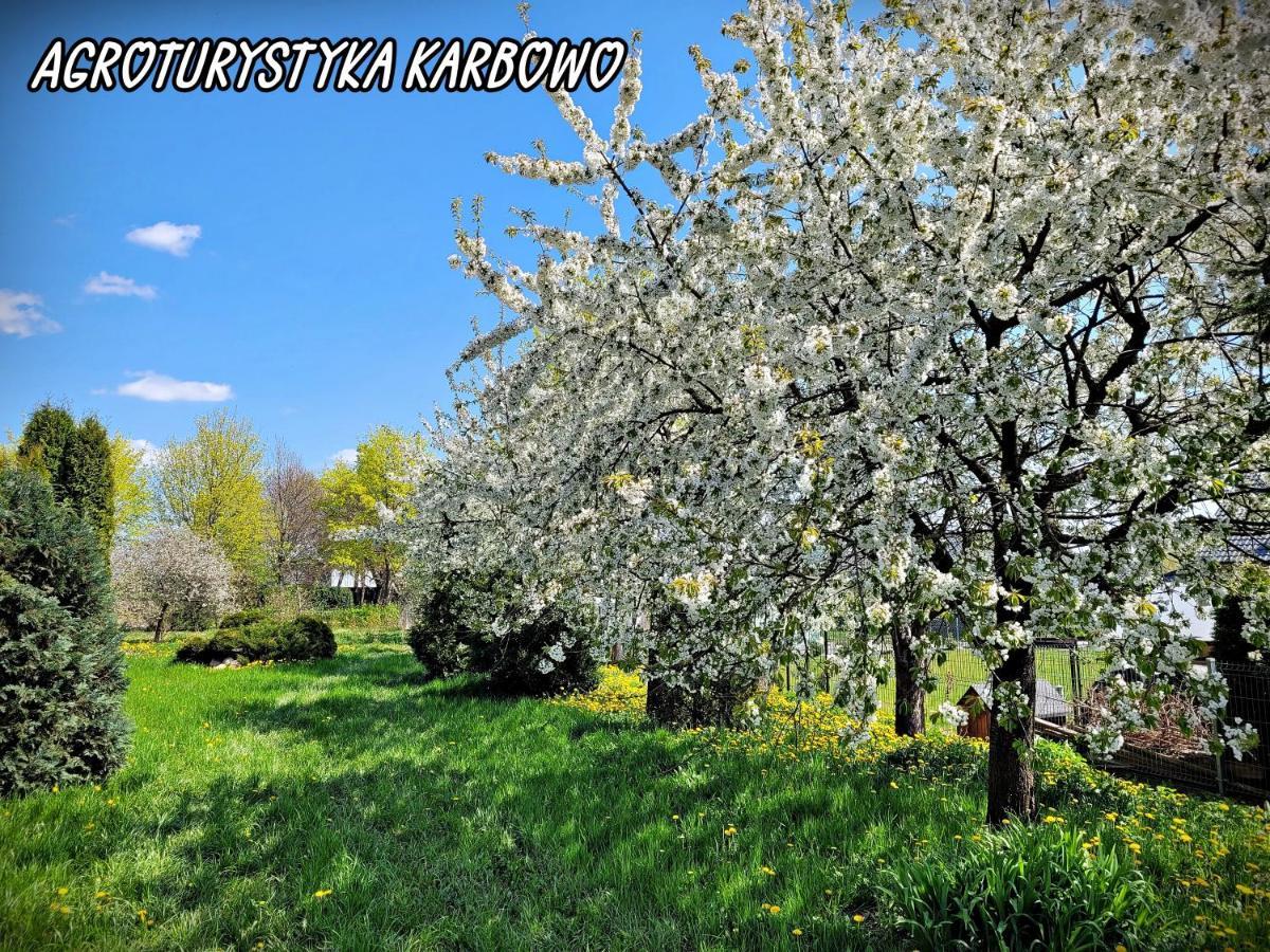 Agroturystyka Karbowo Brodnica  Exterior foto